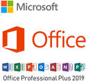Microsoft Office 2019 Professional Plu ...